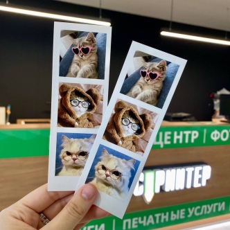 Вектор или растр: какой формат выбрать для печати?-17